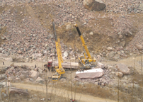 �����ֳ�/