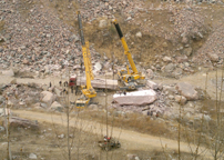 �����ֳ�/