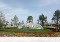 �ͻ�����