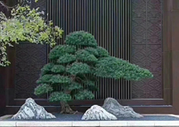 �ͻ�����